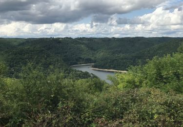 Excursión Senderismo Larodde - Retenue du barrage de Bort les Orgues - Photo