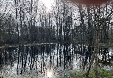 Randonnée Marche  - Marquenterre sud retour - Photo