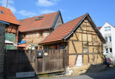 Tocht Te voet Niedernhausen - Apfelwein- & Obstwiesenroute - Photo