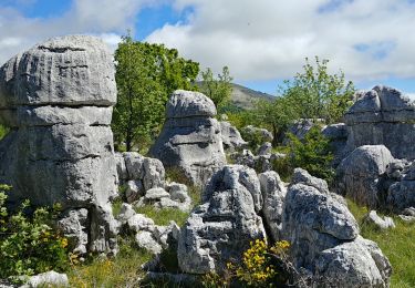 Trail Walking Courmes - puy tourettes - Photo
