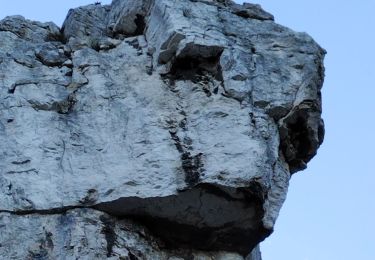 Tour Wandern Auriol - Ravin des Infernets -Tête de chien - Photo