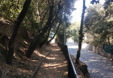 Trail Walking Le Cannet - AR Le Cannet, haut de Cannes Parfait pour MN - Photo