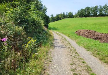 Tour Wandern Feitweiler - Saillez 060825 - Photo