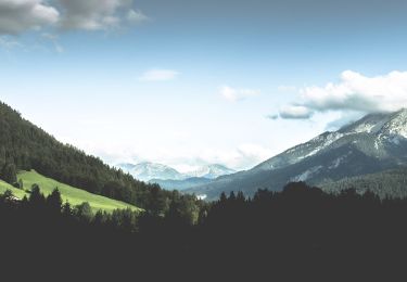 Tocht Te voet Ramsau bei Berchtesgaden - Wanderweg 71 (Rund um den Taubensee) - Photo