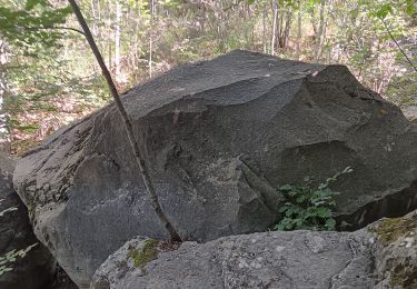 Excursión Senderismo Le Sauze-du-Lac - ma rikiki visite aux demoiselles coiffées  - Photo