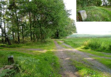 Randonnée A pied Belgern-Schildau - Rundweg Kobershain - Photo