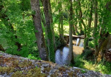 Trail Walking Pargny-la-Dhuys - Pargnys la Dhuys  - Photo