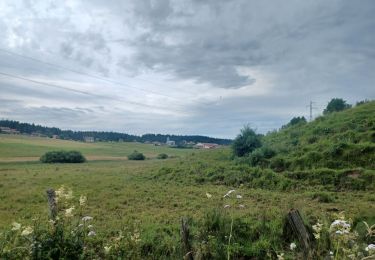 Randonnée Marche Nanchez - Les tourbières de Nancheza - Photo