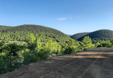 Excursión Senderismo La Bastide-des-Jourdans - la bastide des jourdan.  - Photo