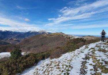 Excursión Senderismo Herran - Pic de Paloumère 1608m - Photo