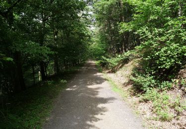 Tocht Te voet Heimbach - Jägerpfad - Photo