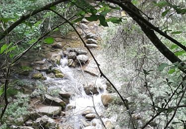 Trail Walking Saint-Jean-d'Arvey - trou de l'enfer St Jean d'Arvey  - Photo