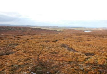 Randonnée A pied  - Burn of Tactigill to Scord - Photo