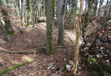 Tocht Te voet Gomadingen - Nebenweg - Kornbühl - Heufeld - Hirschkopf - Photo