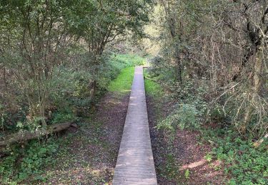 Tocht Stappen Wezembeek-Oppem - S-GR Dijleland : Tervuren - Sint-Joris-Weert - Photo