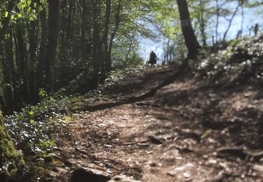 Trail Walking Rochefort - Wavreille adeps - Photo