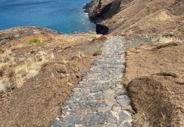 Tocht Stappen Caniçal - PR8 Madère Madeira - Photo