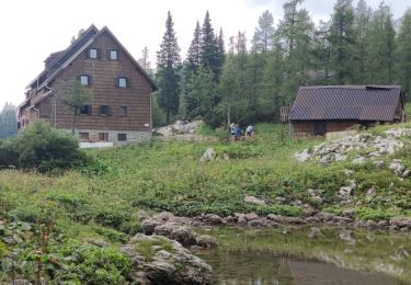 Tour Wandern Flitsch - Etape 3 : hut to hut  - Photo