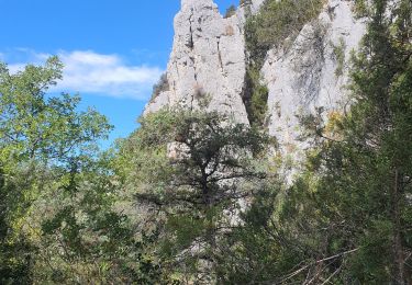 Tour Wandern Quinson - 02/10/2022 Quinson - Sentier de la préhistoire - Source de Poiraque - Photo