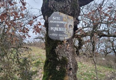 Tour Wandern Saint-Izaire - st izaire douce - Photo