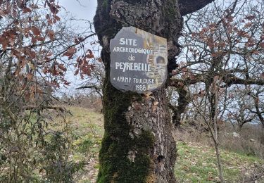 Trail Walking Saint-Izaire - st izaire douce - Photo