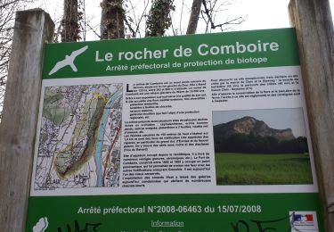 Excursión Marcha nórdica Seyssins - Tour du Rocher de Comboire en circuit avec AR de l'allée de La Balme - Photo