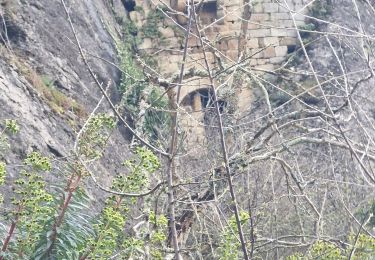 Randonnée Marche Coux - Coux Grottes de la Jaubernie 7km. - Photo