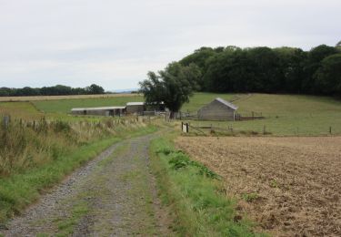 Trail Walking Ouffet - Warzée - Photo