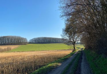 Randonnée Marche Huldenberg - Ottemburg  - réserve naturelle de Rodebos - Photo