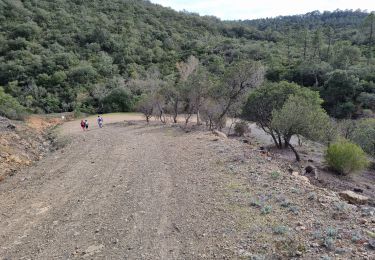 Tour Wandern Fréjus - z l'apié d'amic 21-03-23 - Photo