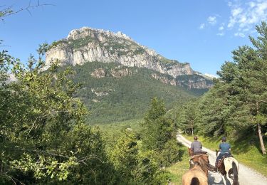 Trail Horseback riding Accous - Lhers - Puenta de Santa Ana - Photo