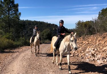 Tocht Stappen Fréjus - Maison forestière du Mallet - Photo