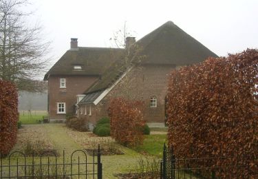 Percorso A piedi Wijchen - Wandelroute landgoed Hernen en Bergharen - Photo