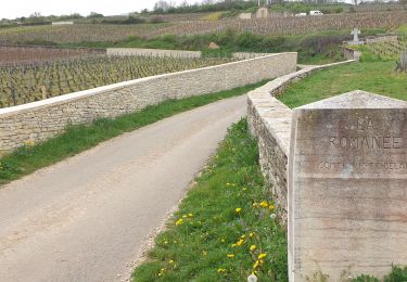 Percorso Marcia Vougeot - Clos Vougeot - Photo