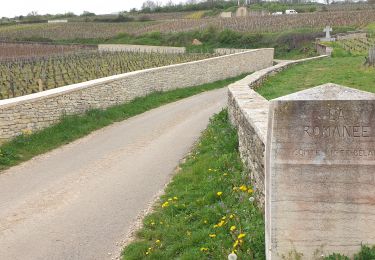 Randonnée Marche Vougeot - Clos Vougeot - Photo