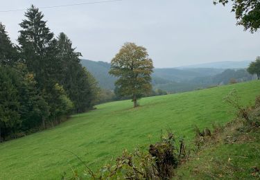 Excursión Senderismo Stavelot - A la découverte de la région de stavelot - Photo