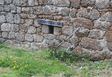 Trail Walking Arzenc-de-Randon - Arzenc de Rendon - Photo
