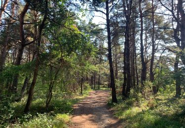 Trail Walking Chorges - CHORGES camping clé des champs Cantheloube retour par le nord - Photo