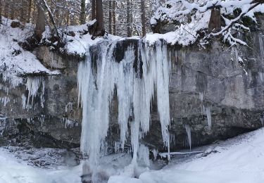 Randonnée Raquettes à neige Villard-de-Lans - Vercors La Fauge les Clots  - Photo