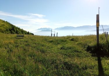 Trail Walking Gresse-en-Vercors - Le Pas de Serpaton - Photo