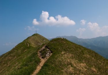 Tocht Te voet Sale Marasino - Malghe in Rete - Trekking - Le Creste Tappa 1 - Photo