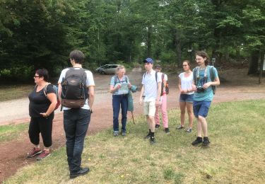 Trail Walking Meisenthal - 2020-08-02 Le circuit des Verriers (avec les enfants) - Photo