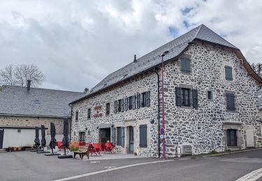 Tour Wandern Montgreleix - boucle de 9 km autour de  montgreleix - Photo