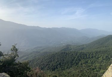 Trail Walking Tasso - Punta di Boeing - Photo