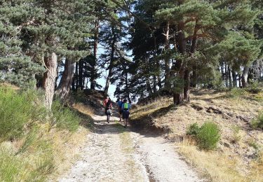 Trail Walking Saint-Alban-sur-Limagnole - DONNEPEAU - Photo