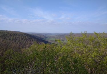 Tour Wandern Saint-Jean-de-Bœuf - Saint JeandeBoeuf-Gissey sur Ouche - Photo