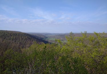 Tocht Stappen Saint-Jean-de-Bœuf - Saint JeandeBoeuf-Gissey sur Ouche - Photo