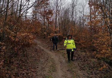 Tocht Stappen Falck - rando guerting - Photo