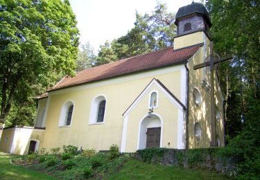 Excursión A pie Neunburg vorm Wald - Büchelbergweg - Photo