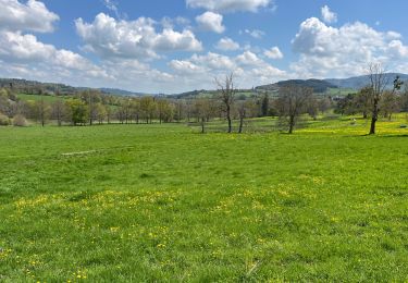 Randonnée Marche Saint-Romain-d'Urfé - Le Gaud - La Ménardie - Photo